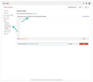 robots.txt test
