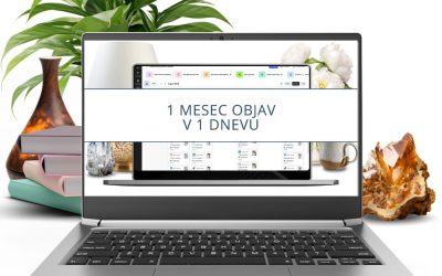 1 mesec objav v 1 dnevu